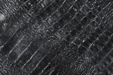 sürüngen cilt dokusunu