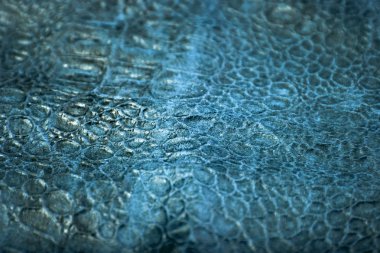 sürüngen cilt dokusunu