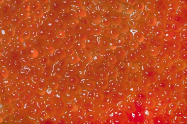 Kırmızı havyar dokusuna