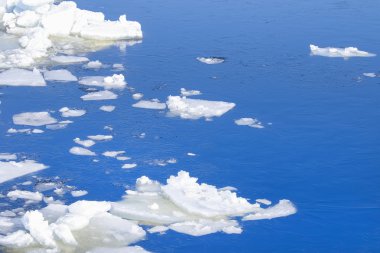 Bahar tatili Nehri üzerinde