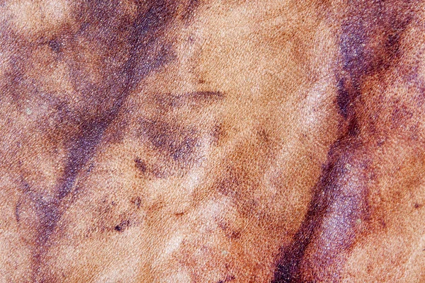 Texture in pelle da vicino — Foto Stock