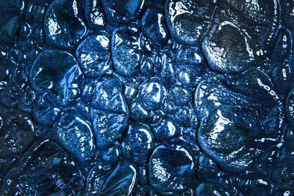 Textura pielii reptile — Fotografie, imagine de stoc