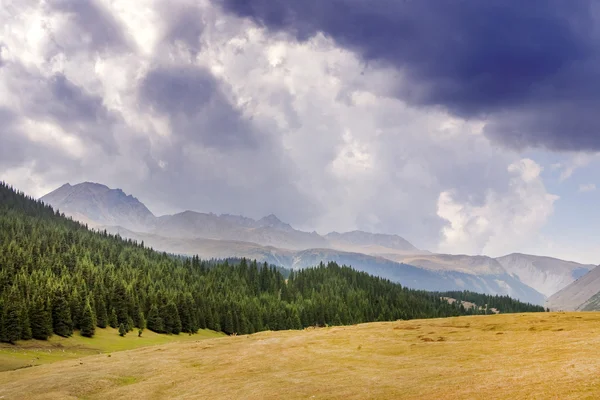 Пейзаж с грозовыми облаками — стоковое фото