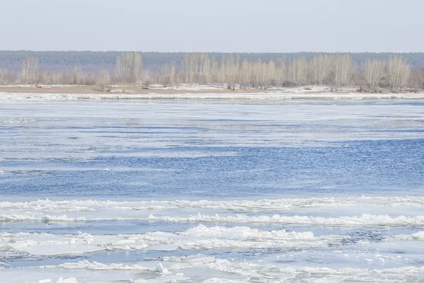 Spring break on the river — Stock Photo, Image