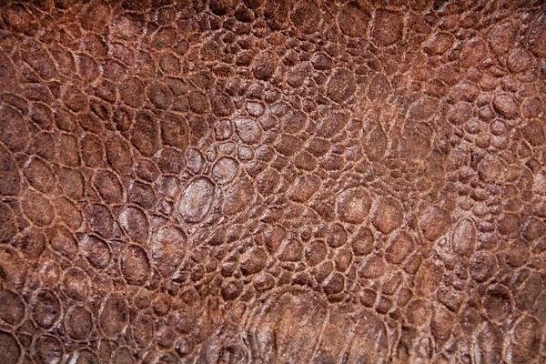 Reptile skin texture — Stock Photo, Image