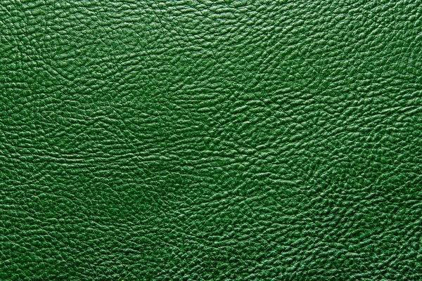 质地的皮革绿色 — 图库照片