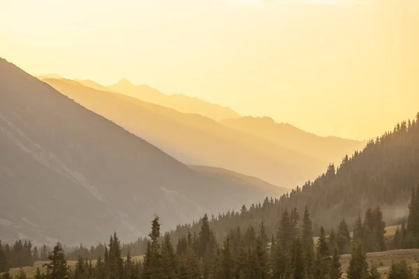 Paesaggio in montagna al tramonto — Foto Stock