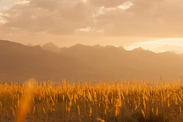 Paysage avec prairie sur les montagnes — Photo