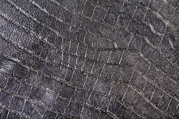 Texture della pelle rettile — Foto Stock