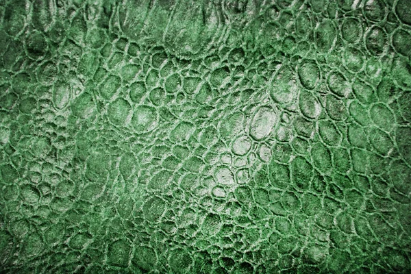 Reptile skin texture — Stock Photo, Image