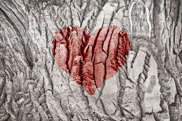 Textura de corteza con un corazón rojo — Foto de Stock