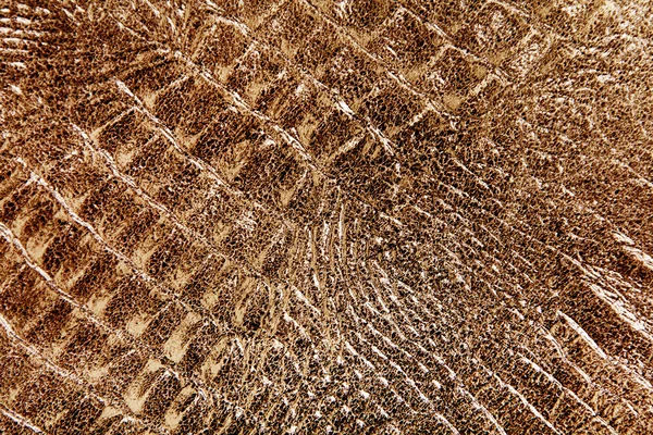 Текстура кожи рептилий — стоковое фото