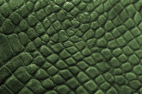 Reptile huidtextuur — Stockfoto