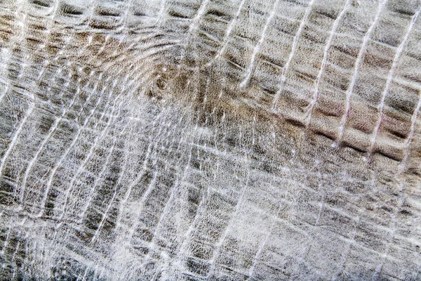 Текстура кожи рептилий — стоковое фото