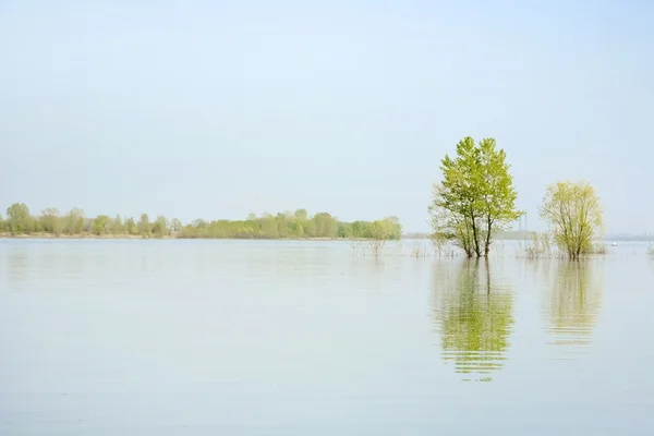 Frühjahrshochwasser am Fluss — Stockfoto