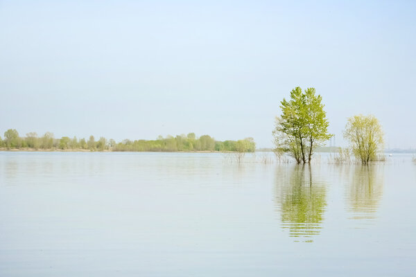 Spring flooding on the river