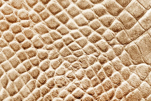 Reptile skin texture