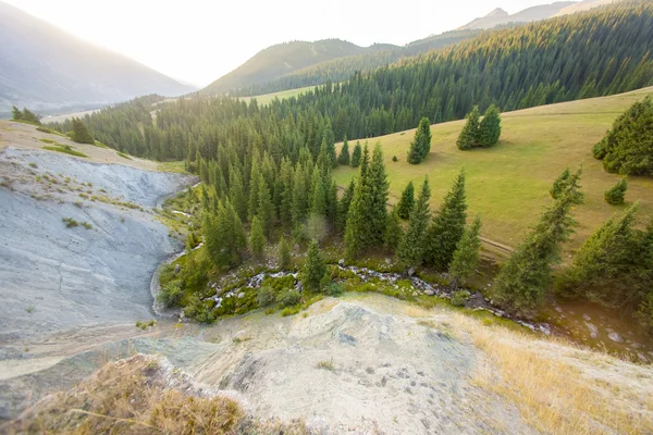 CAMPO DI APPLICAZIONE DELLE MONTAGNE VERDE — Foto Stock