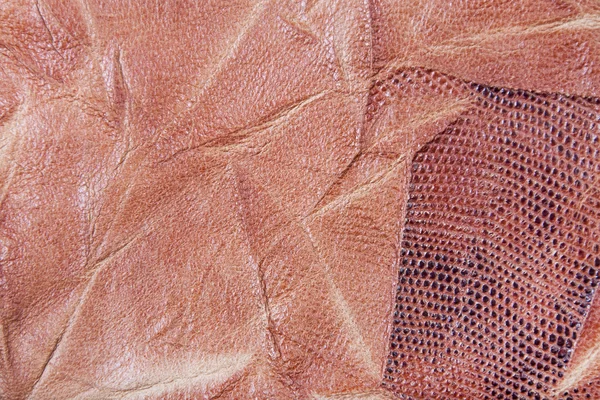 Bőr textúra közelről — Stock Fotó