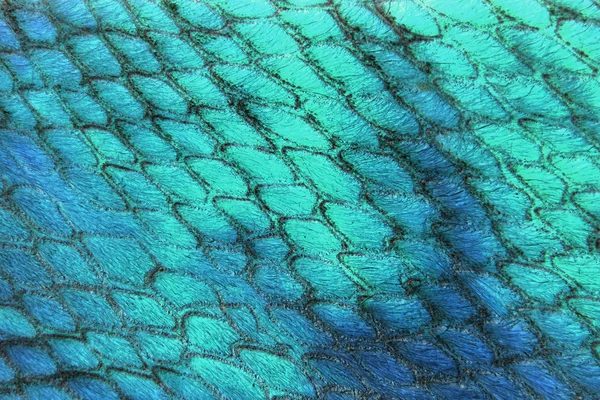 Texture della pelle rettile — Foto Stock