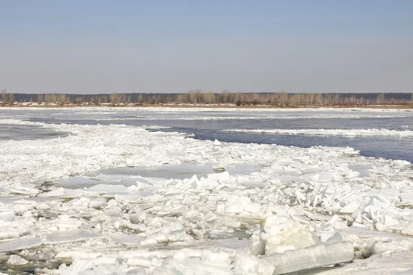 Spring break on the river — Stock Photo, Image