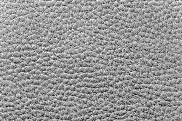 Texture du cuir gris — Photo