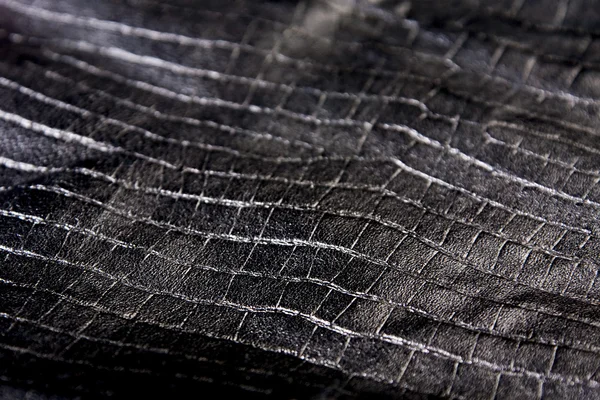 Textura da pele do réptil — Fotografia de Stock