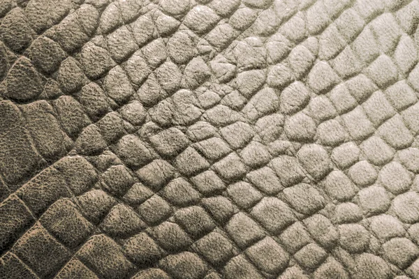 Reptile skin texture — Stock Photo, Image