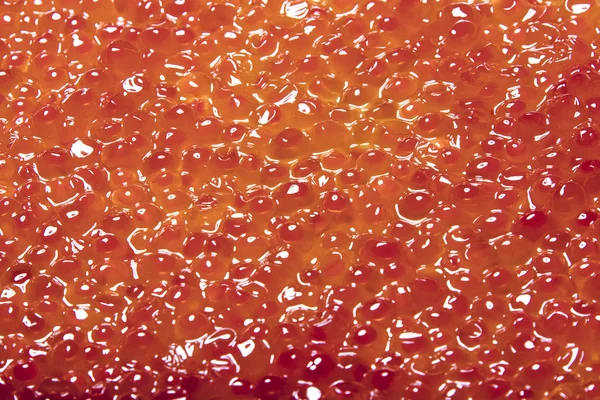 Textura de caviar rojo — Foto de Stock