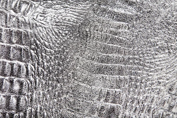 Reptile skin texture — Stock Photo, Image