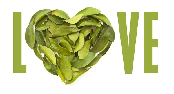 Heart made of green leaves — Stock Photo, Image