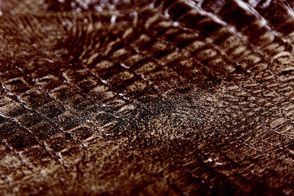 Reptile skin texture — Stock Photo, Image