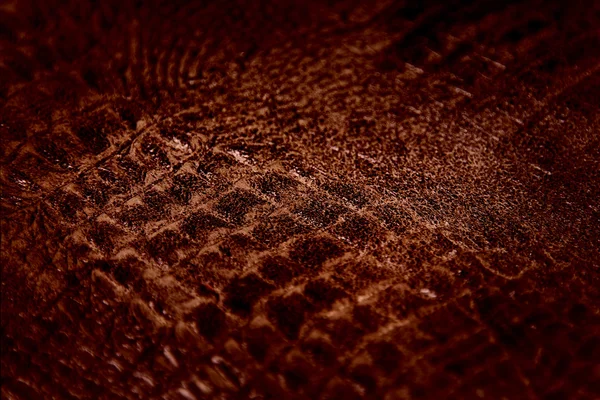 Textur der Reptilienhaut — Stockfoto