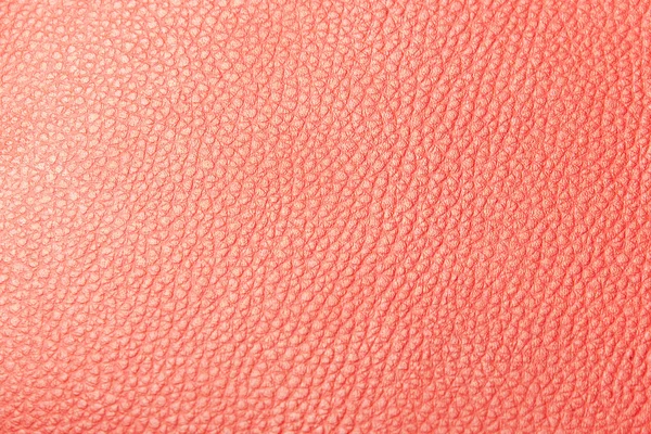 Textura do couro vermelho — Fotografia de Stock