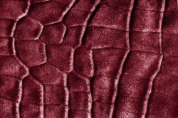 Texture della pelle rettile — Foto Stock