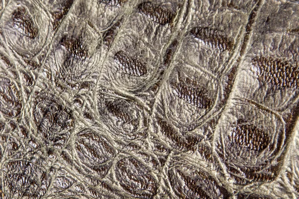 Reptile skin texture