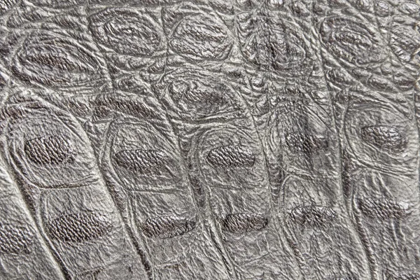 sürüngen cilt dokusunu