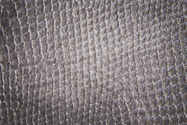 Reptile skin texture — Stock Photo, Image