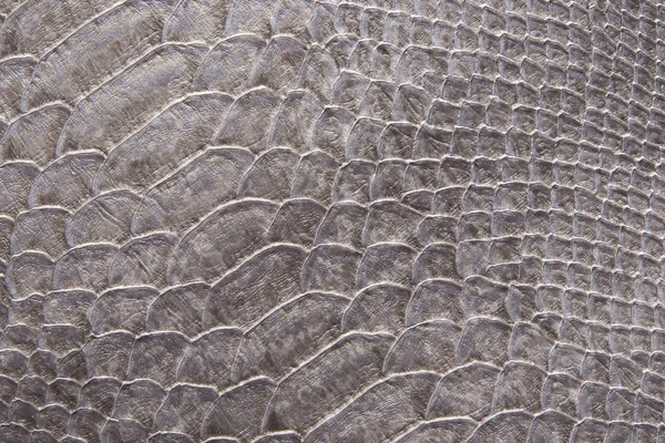 Reptile skin texture