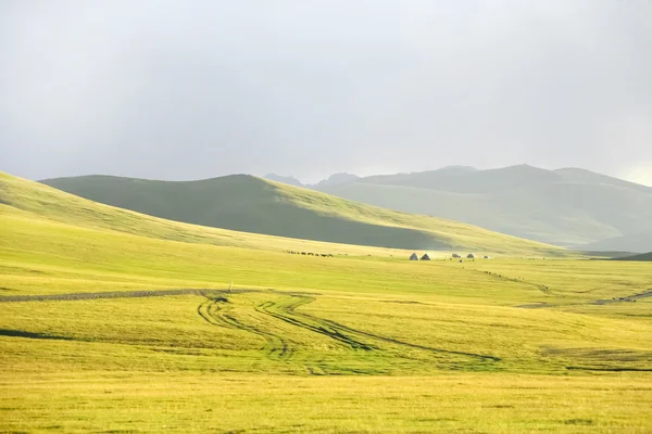 緑の山の牧草地 — ストック写真