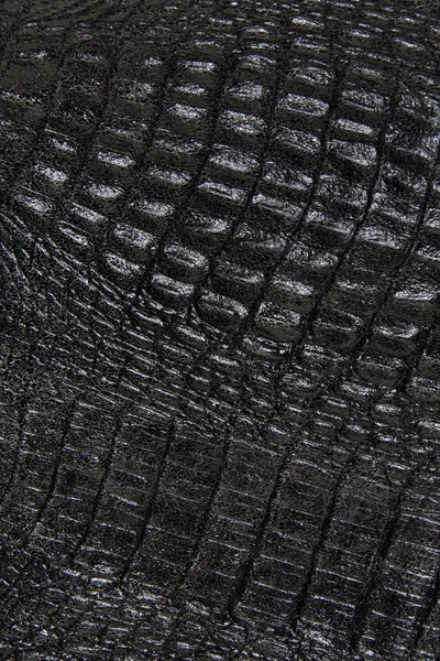 Textur der Reptilienhaut — Stockfoto