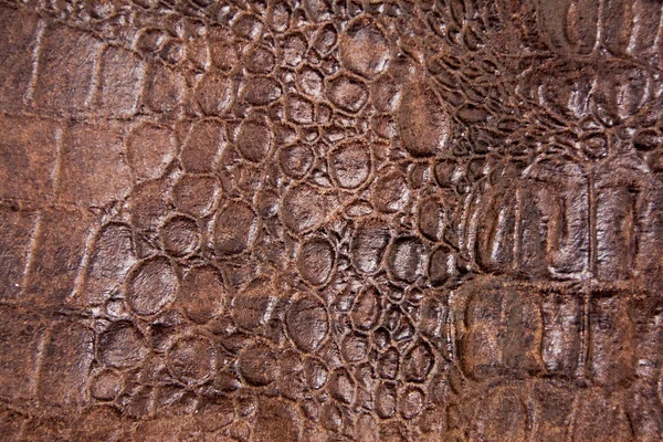 Textura da pele do réptil — Fotografia de Stock