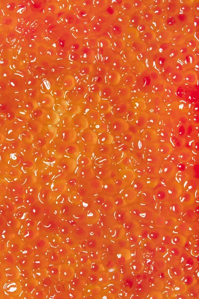 Textura de caviar vermelho — Fotografia de Stock