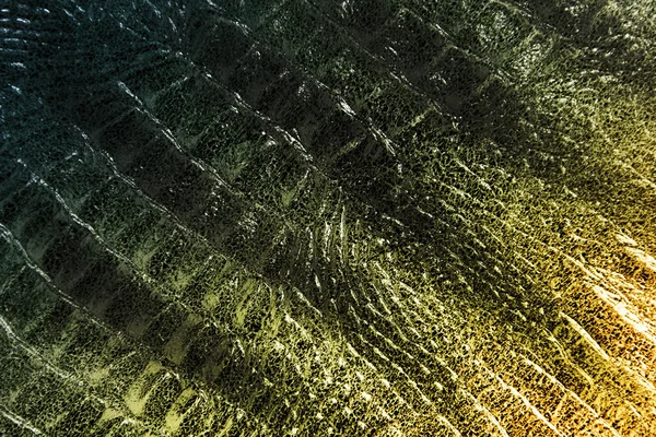 Reptile skin texture — Stock Photo, Image