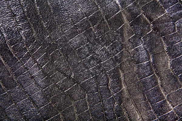 Texture della pelle rettile — Foto Stock