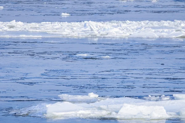 Spring break on the river Stock Image