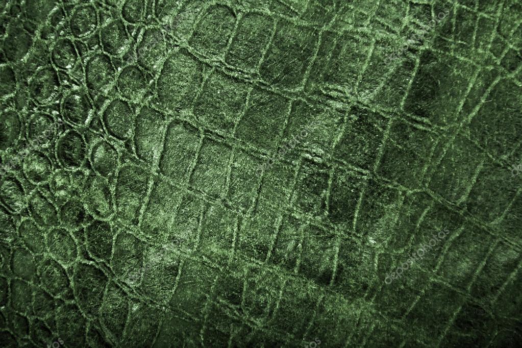 Reptile Skin Texture