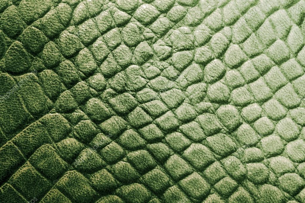 Reptile Skin