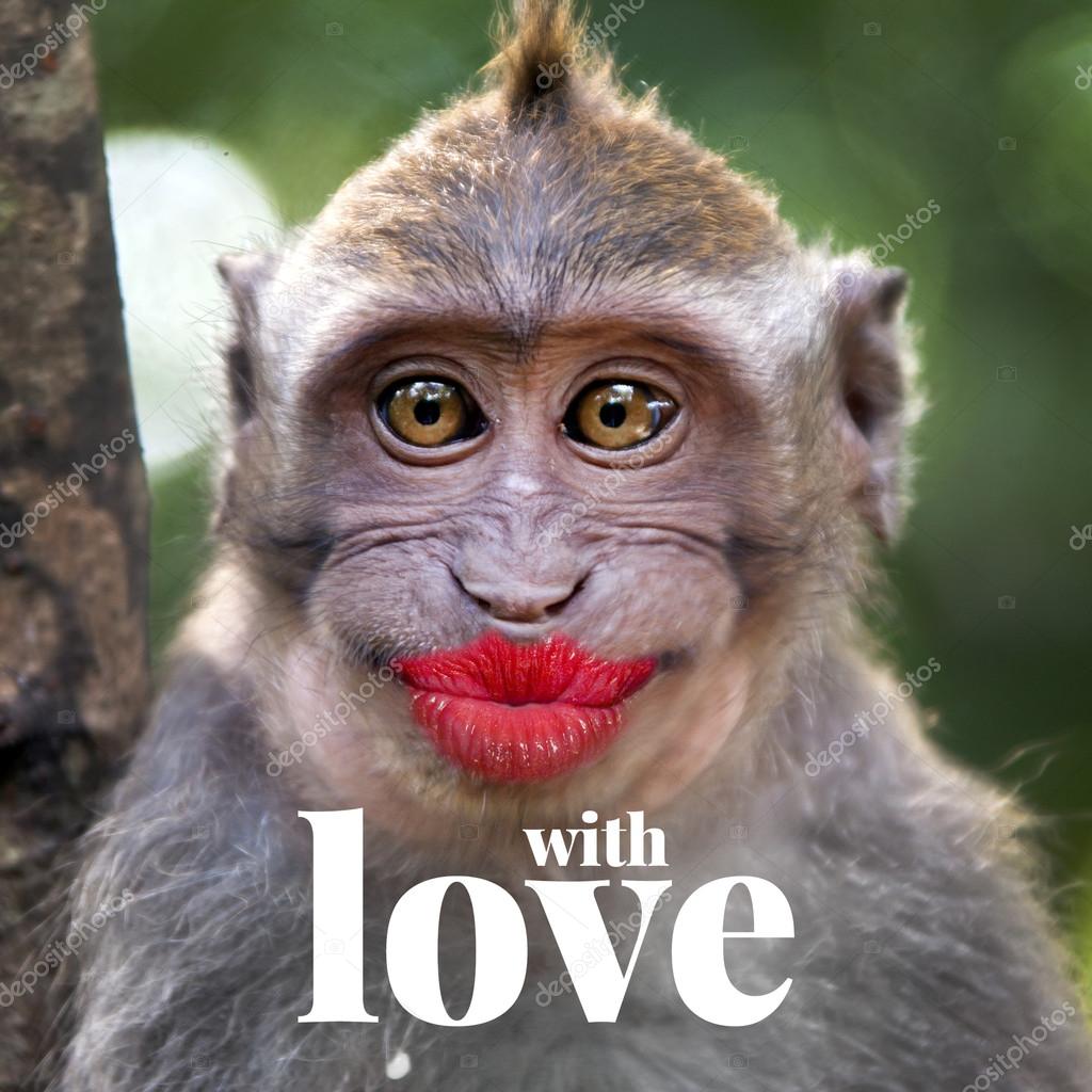 Funny monkey with a red lips Stock Photo by ©watman 70260001