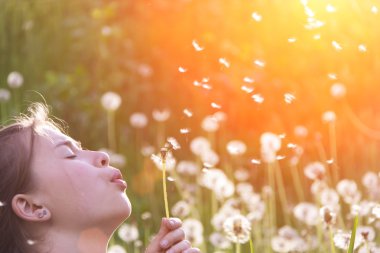 Dandelions ile oynarken sevimli kız